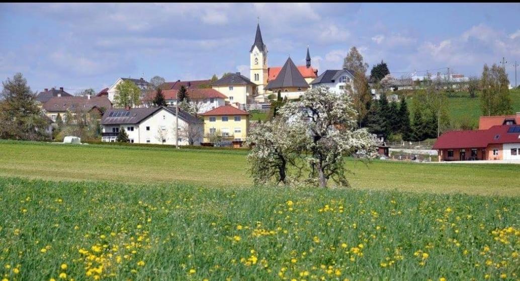 Wohnhaus City Sued Herzogsdorf المظهر الخارجي الصورة
